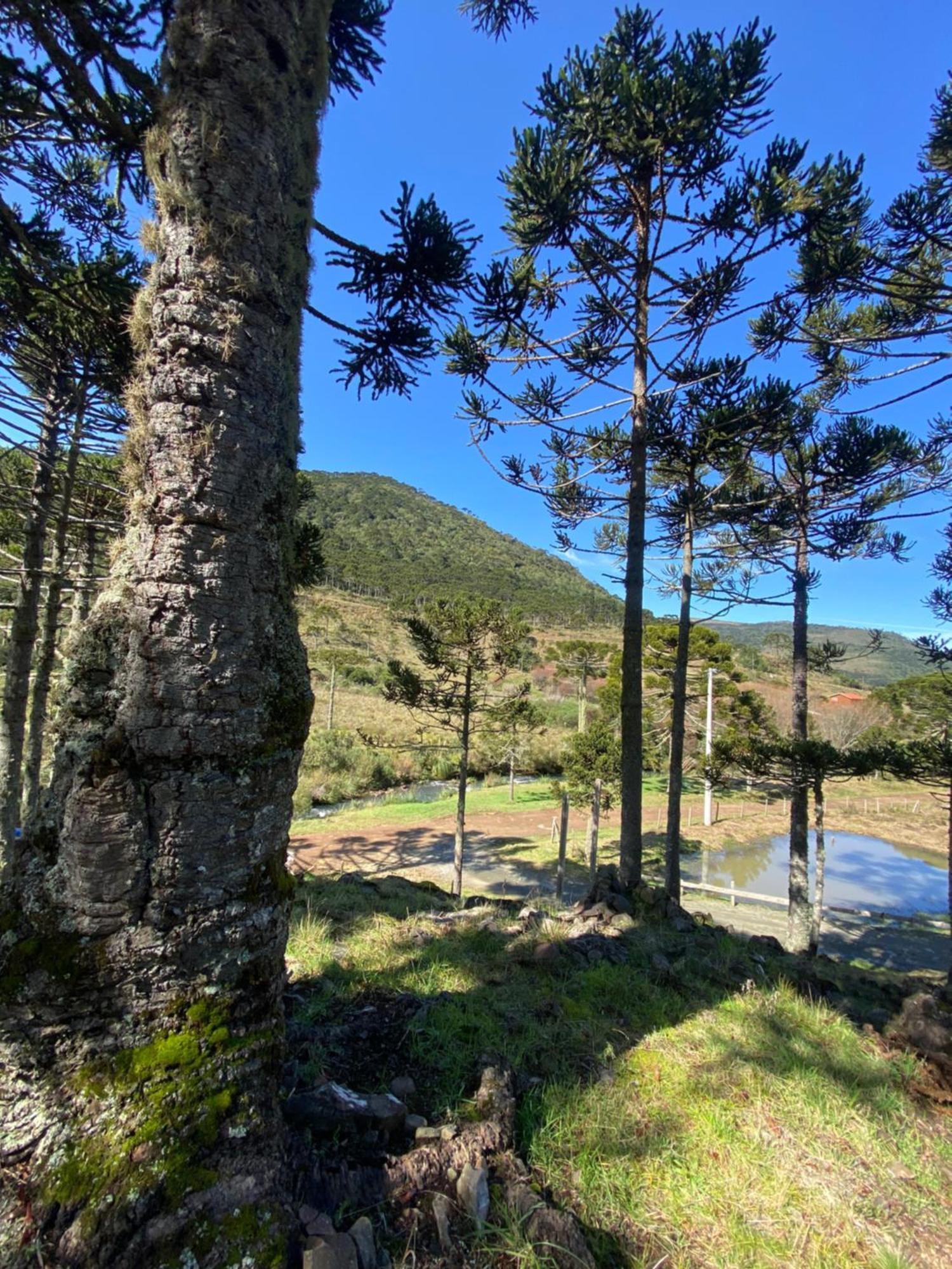 Estalagem Villa Serrana Urubici Dış mekan fotoğraf