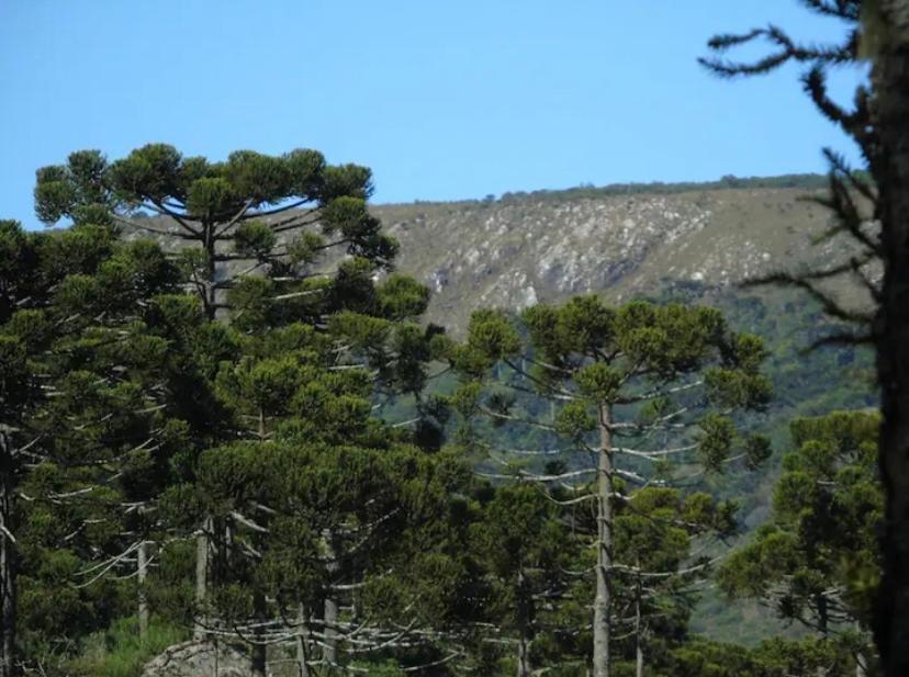 Estalagem Villa Serrana Urubici Dış mekan fotoğraf